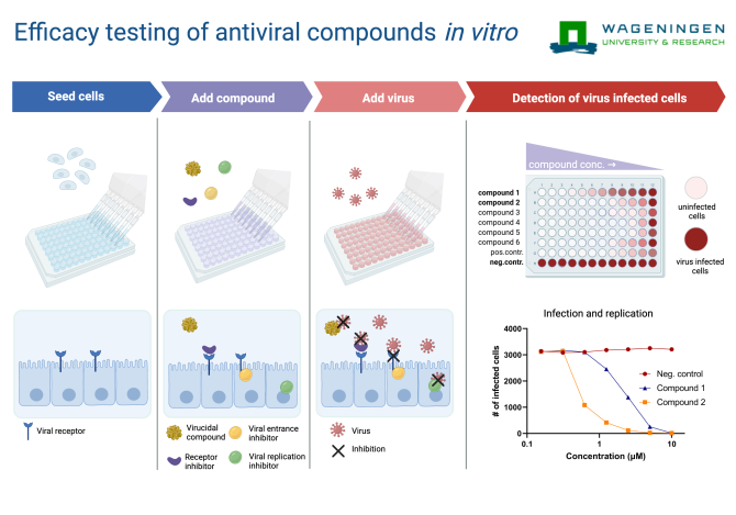 Antiviral Testing - WUR